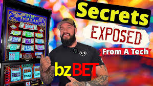 Explore as vantagens do bzbet: serviço profissional e confiabilidade